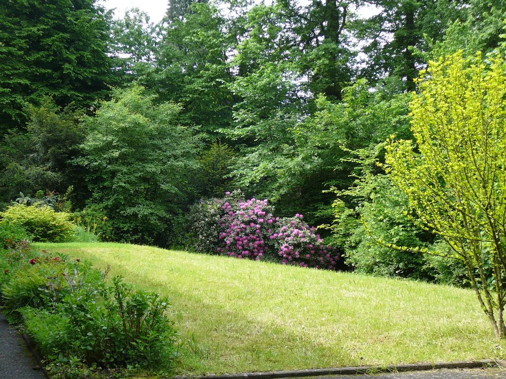 Ferienwohnung Am Krippenhof Baden-Baden Exterior foto