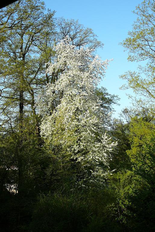 Ferienwohnung Am Krippenhof Baden-Baden Quarto foto